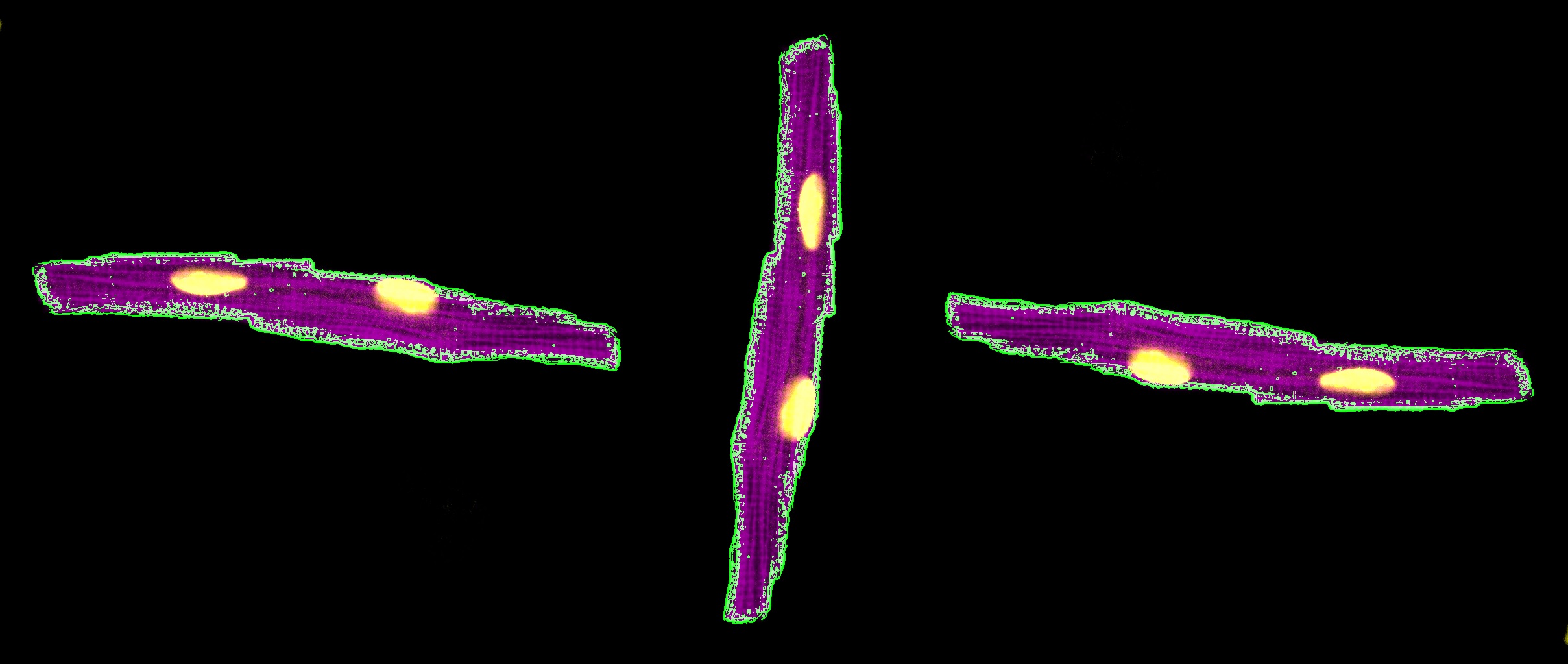 Star Wars in a petri dish University of Oxford